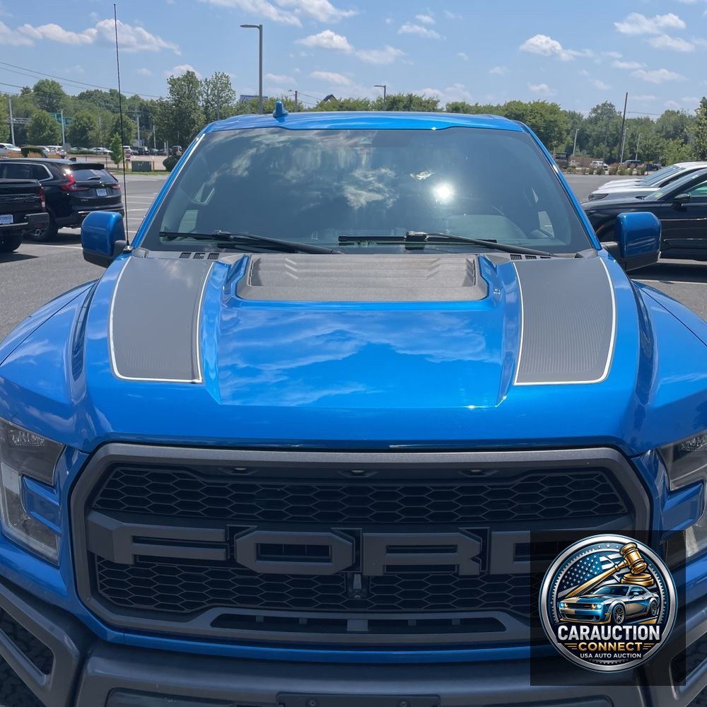 2019 Ford F-150 Raptor