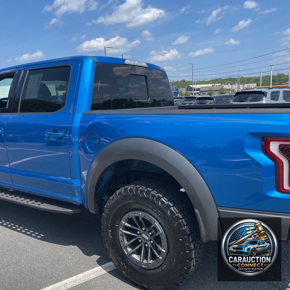 2019 Ford F-150 Raptor