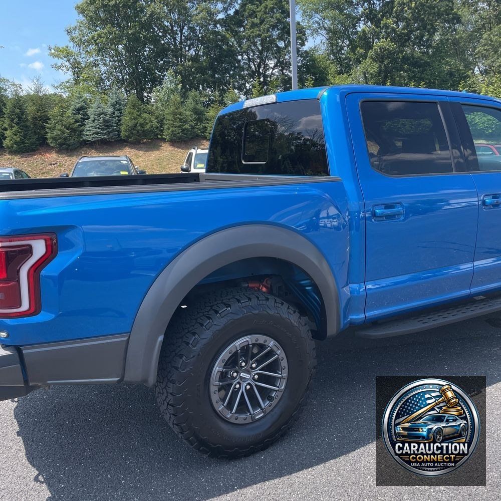 2019 Ford F-150 Raptor