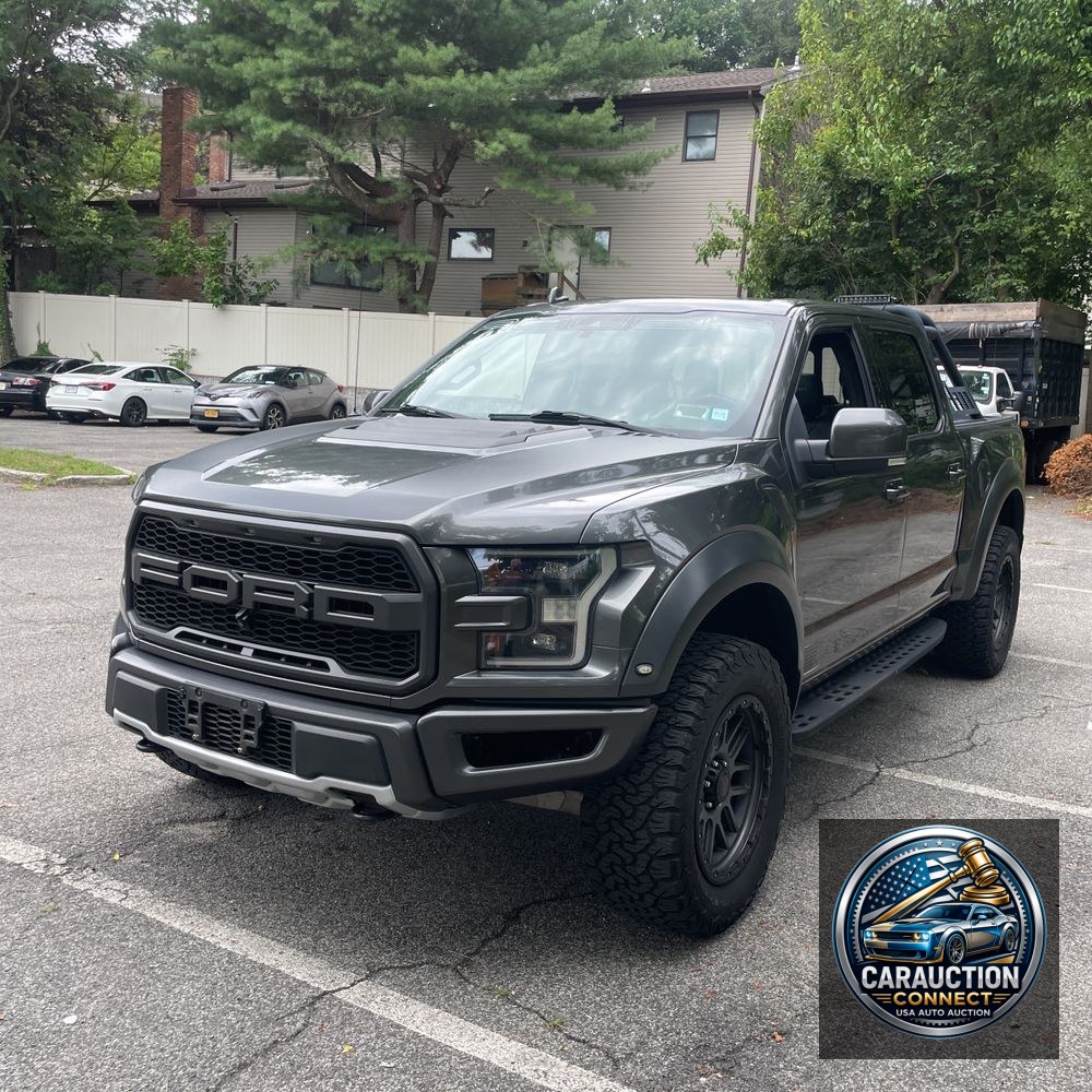 2019 Ford F-150 Raptor