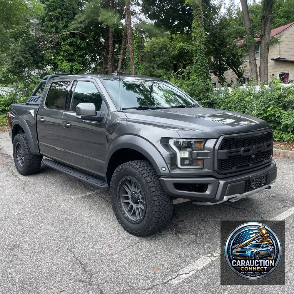 2019 Ford F-150 Raptor