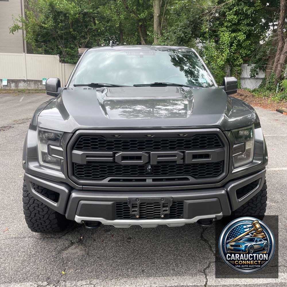2019 Ford F-150 Raptor
