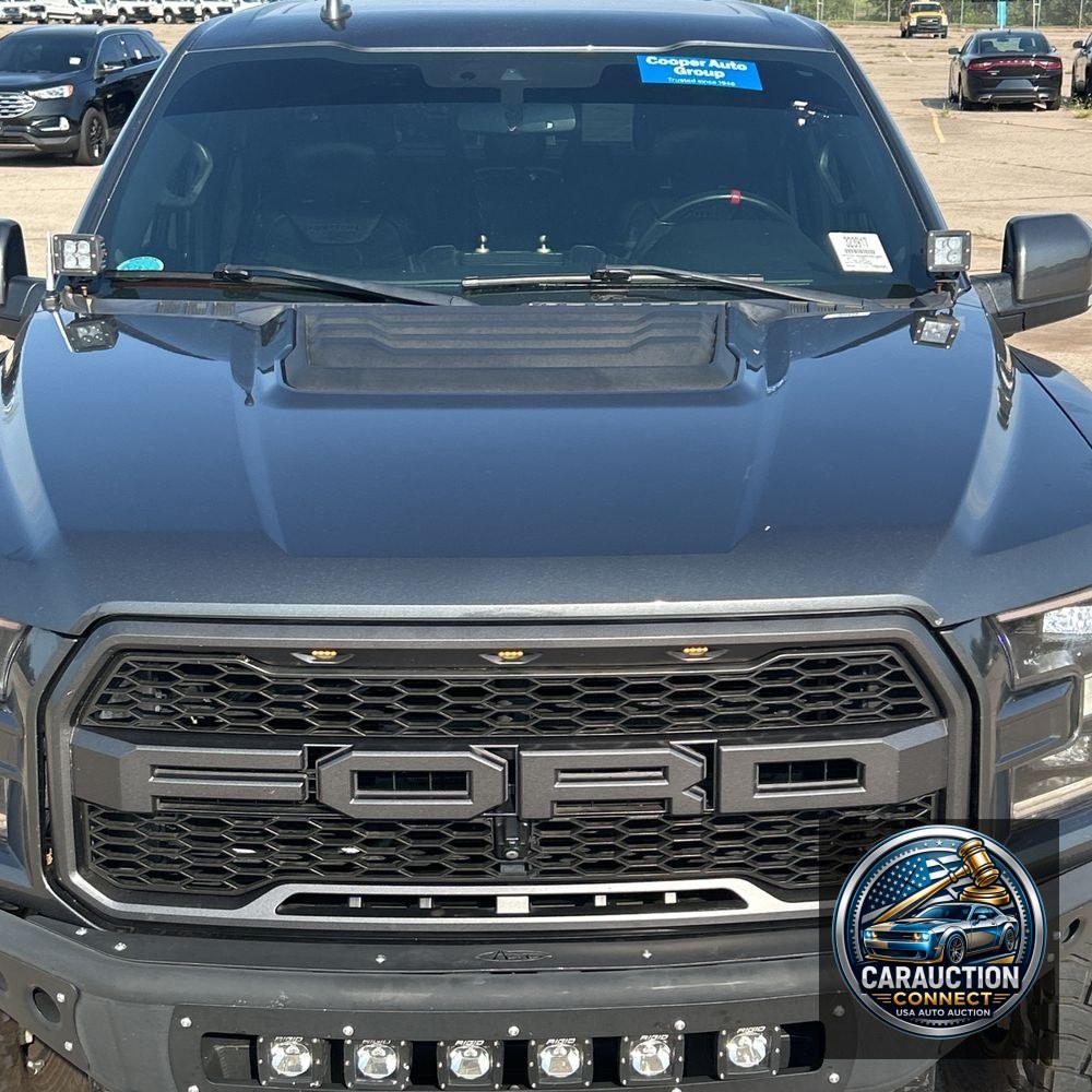 2019 Ford F-150 Raptor