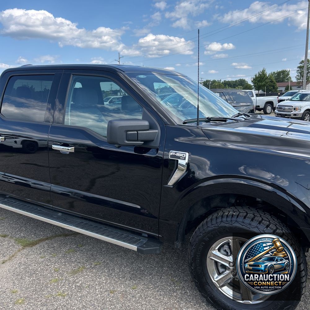 2024 Ford F150 XLT