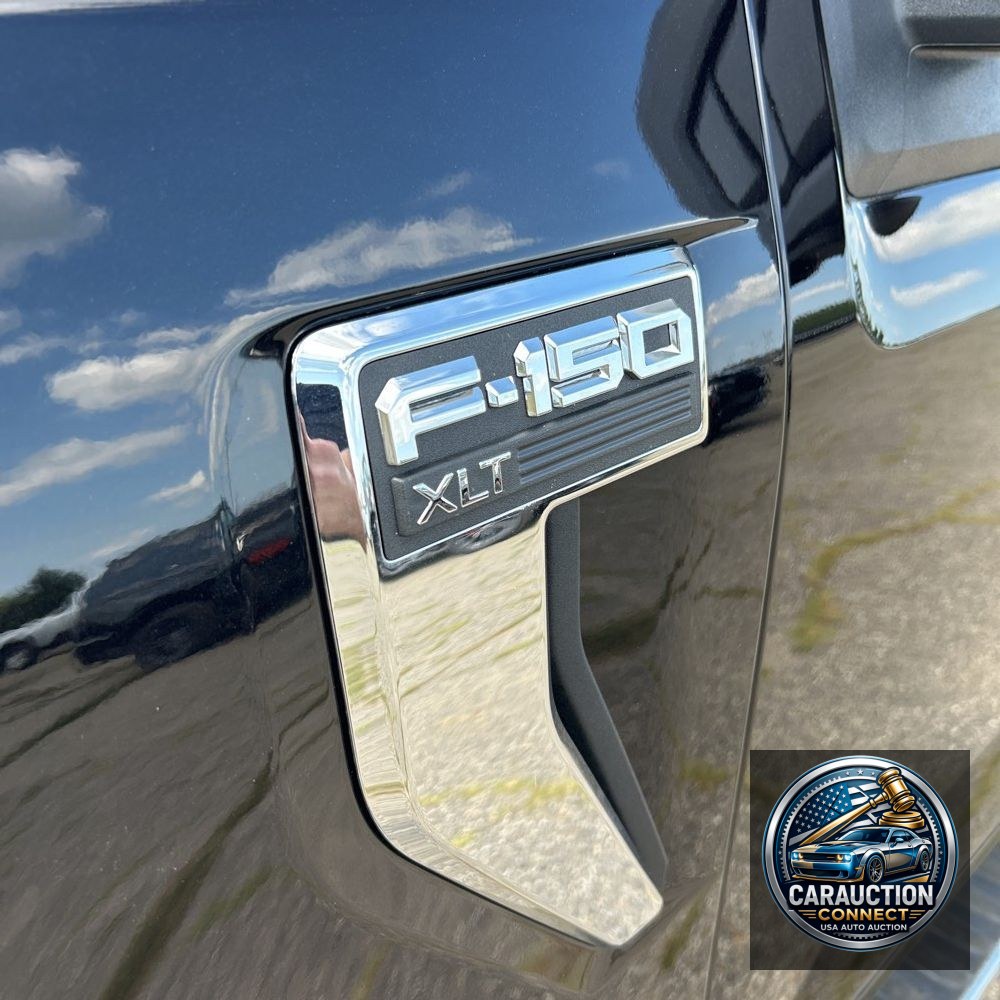 2024 Ford F150 XLT