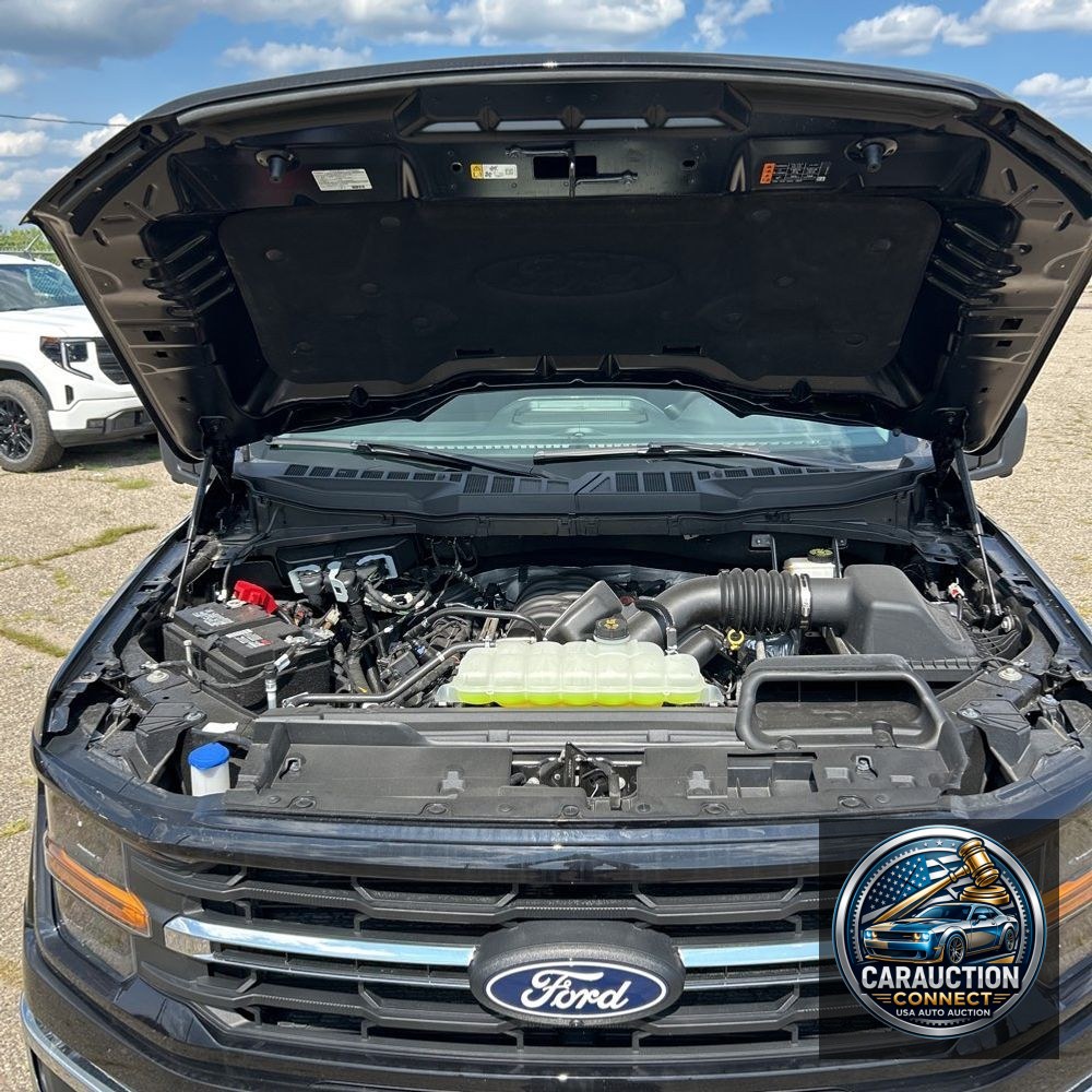 2024 Ford F150 XLT
