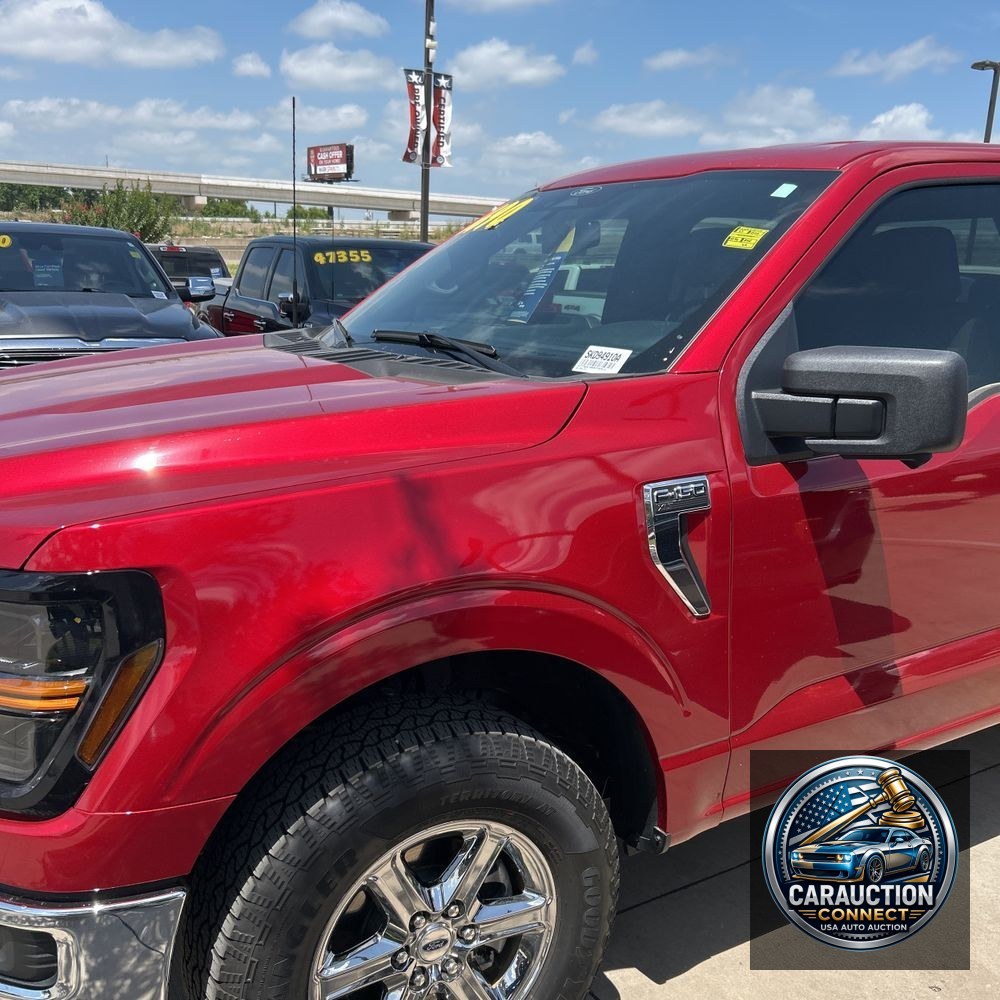 2024 Ford F-150 XLT