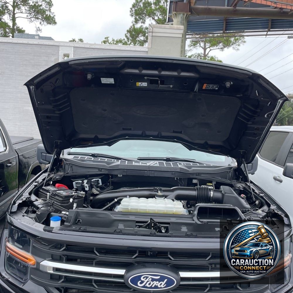 2024 Ford F150 XLT