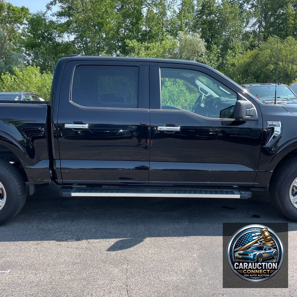 2024 Ford F150 XLT