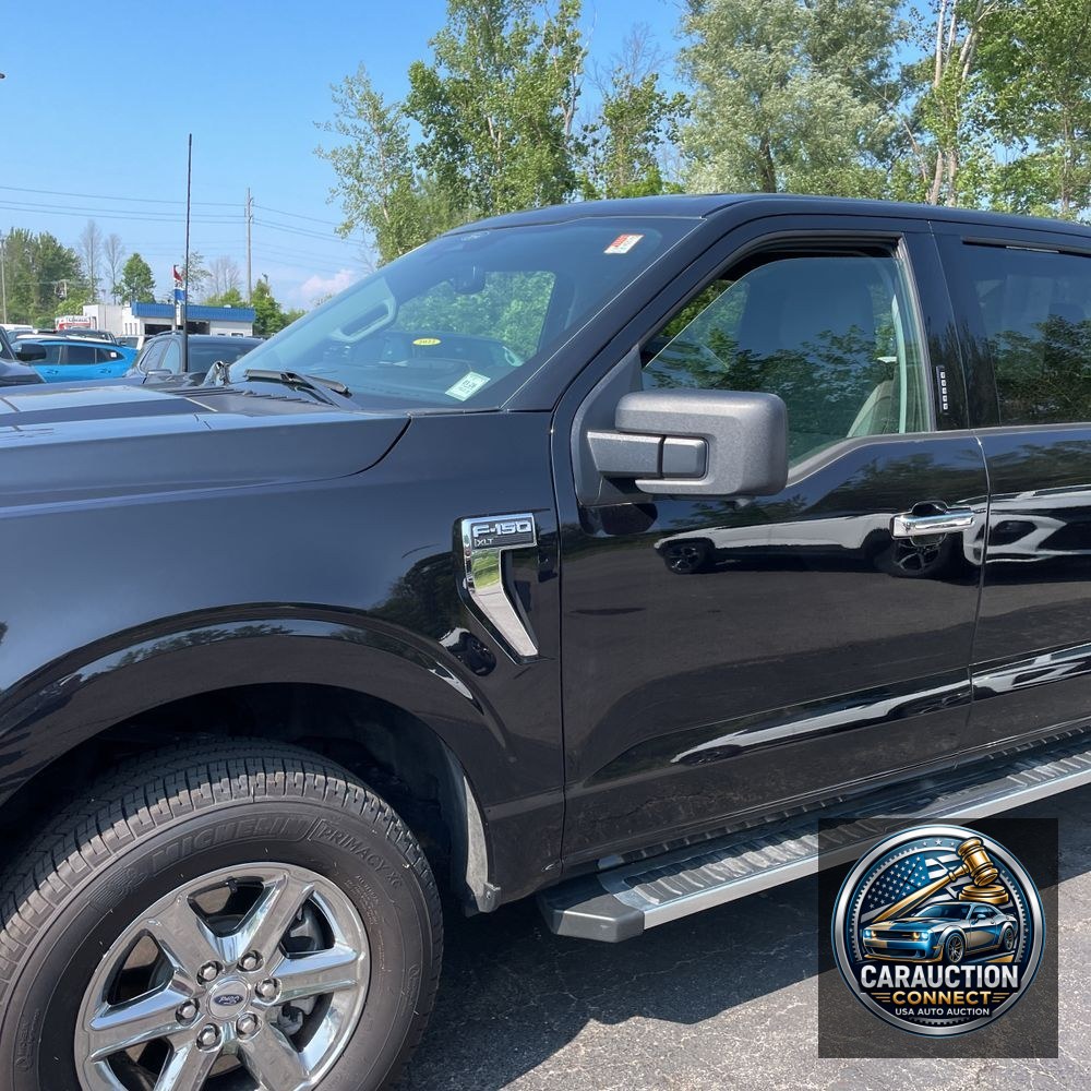 2024 Ford F150 XLT