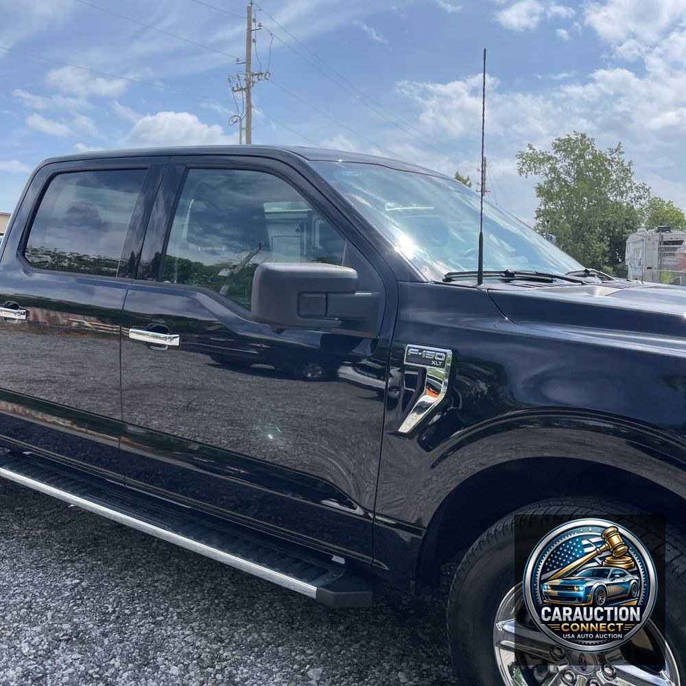2024 Ford F150 XLT