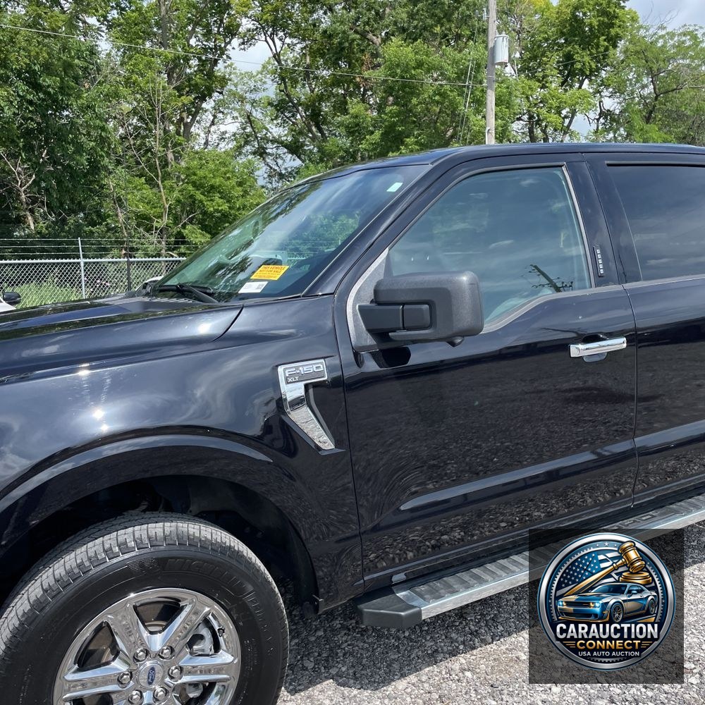 2024 Ford F150 XLT