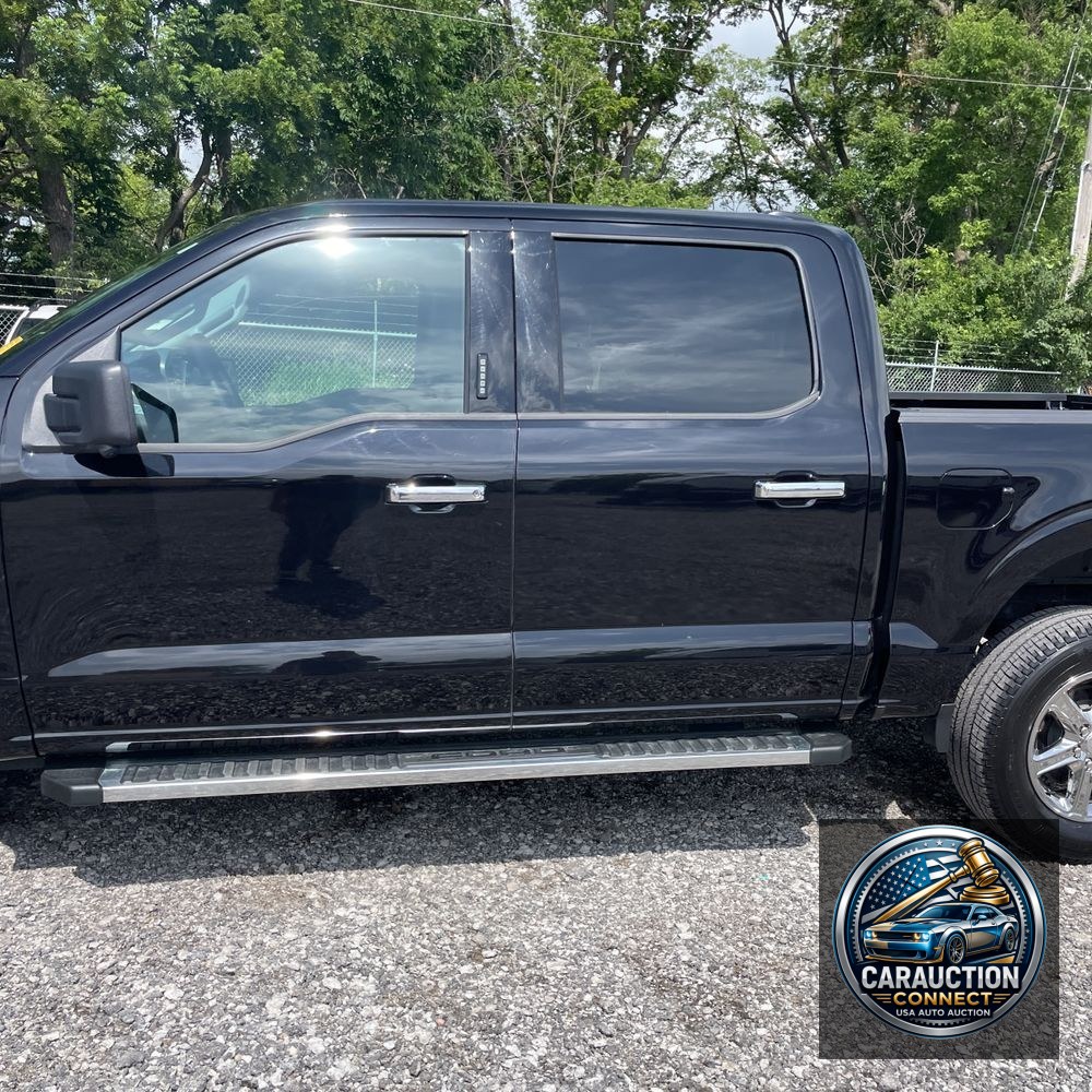 2024 Ford F150 XLT
