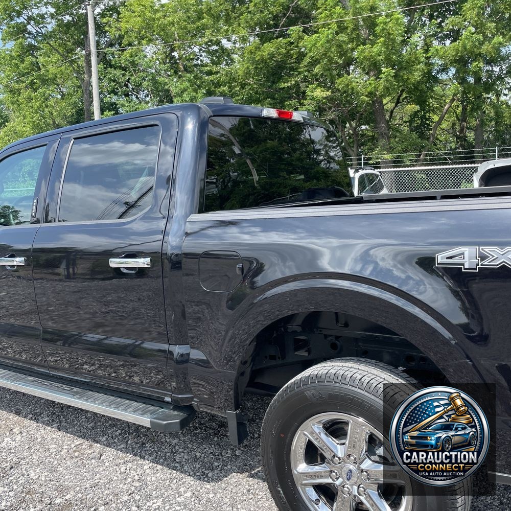 2024 Ford F150 XLT