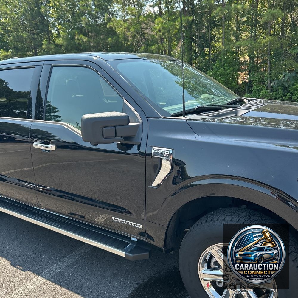 2024 Ford F-150 XLT