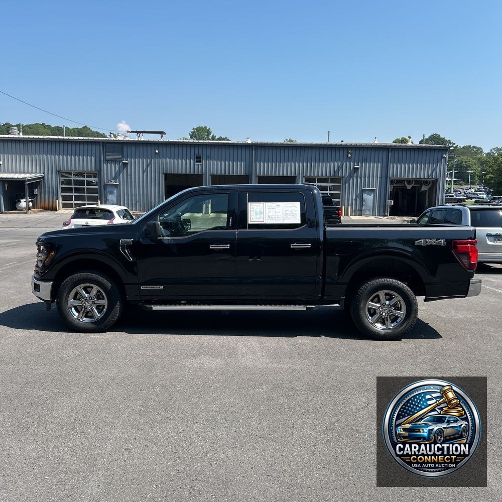 2024 Ford F-150 XLT