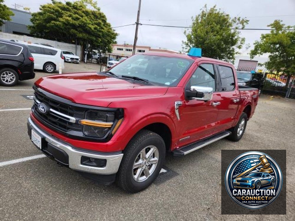 2024 Ford F-150 XLT