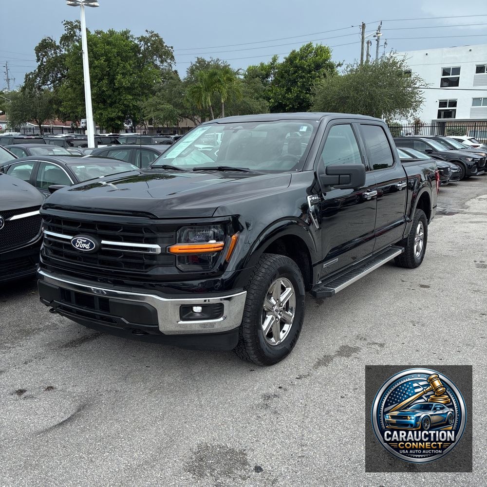 2024 Ford F-150 XLT
