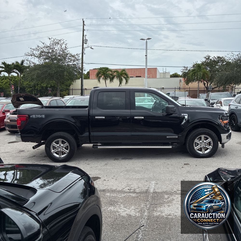 2024 Ford F-150 XLT