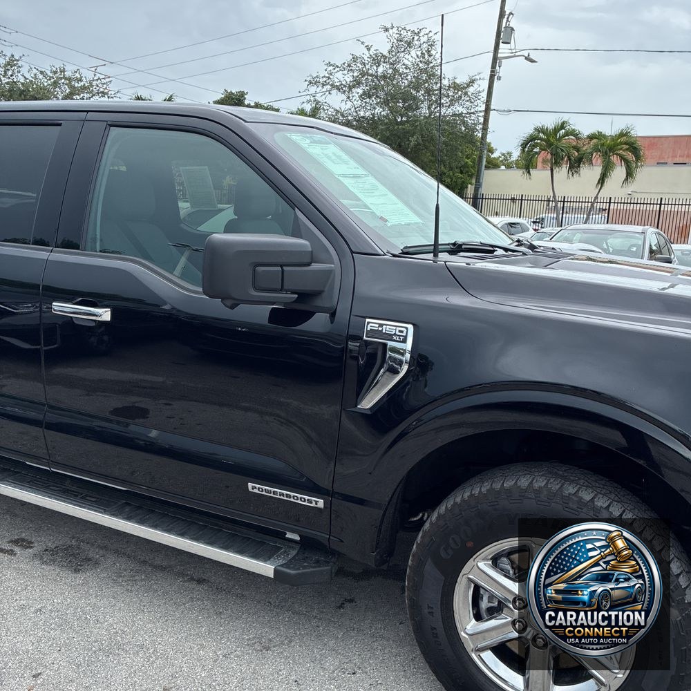 2024 Ford F-150 XLT