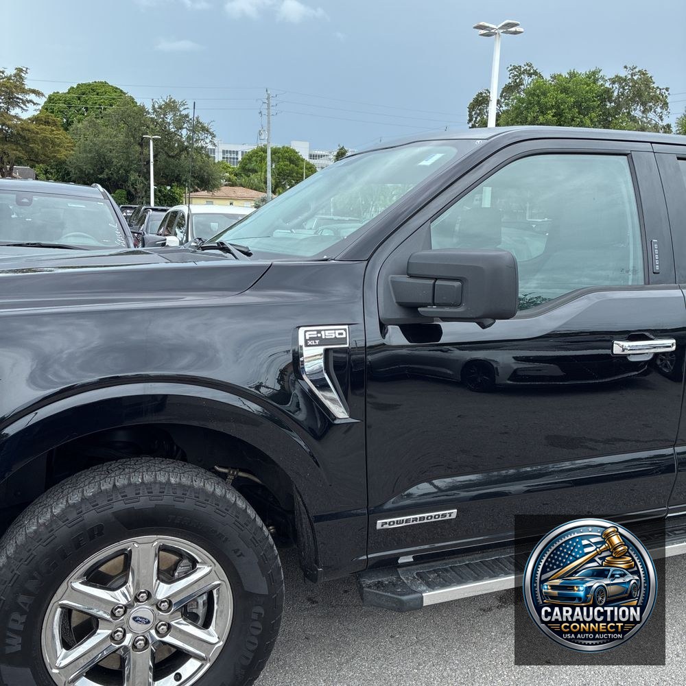 2024 Ford F-150 XLT