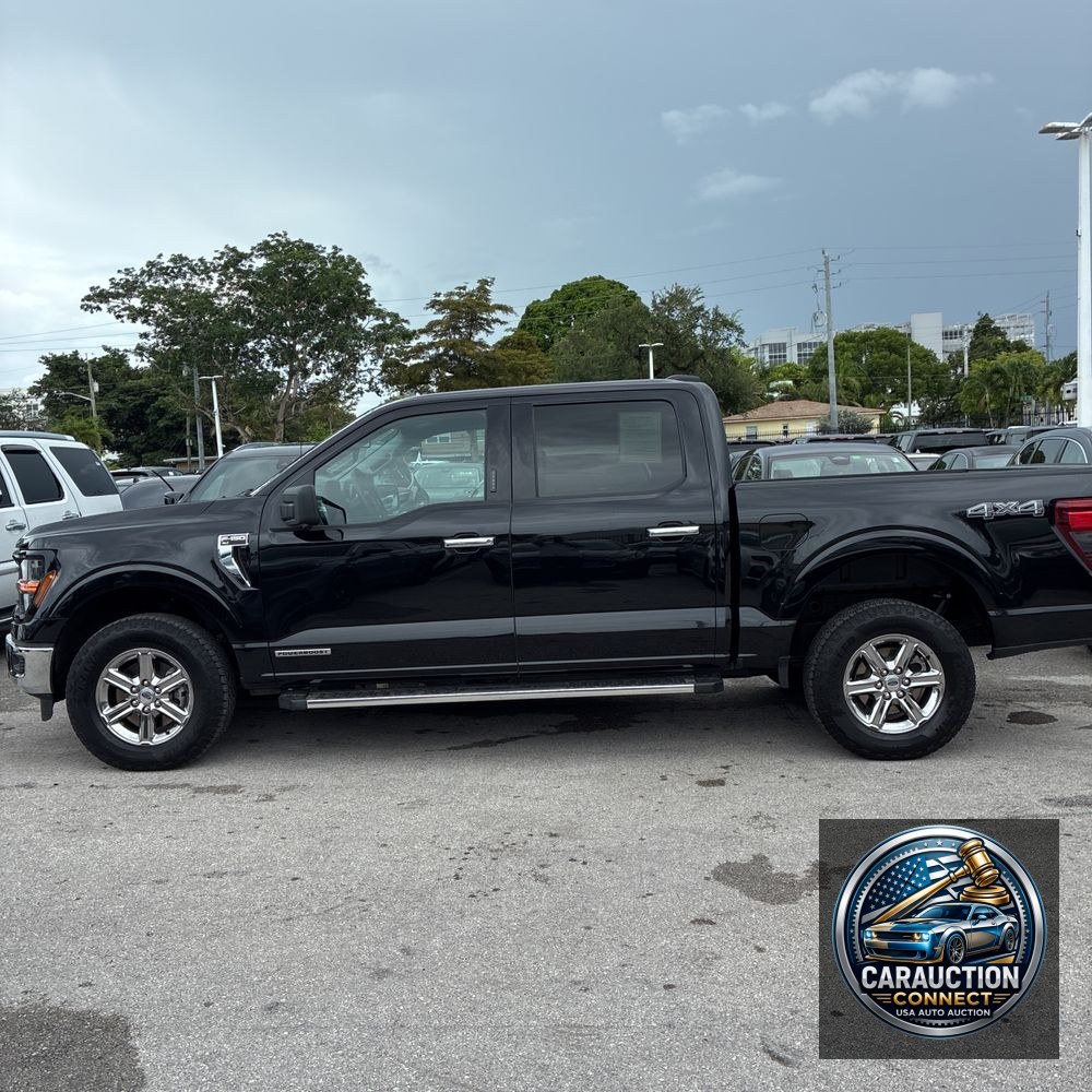 2024 Ford F-150 XLT