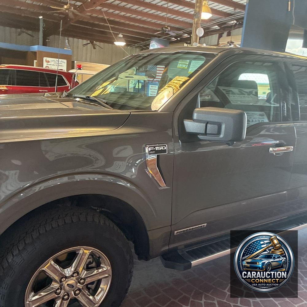 2024 Ford F-150 XLT