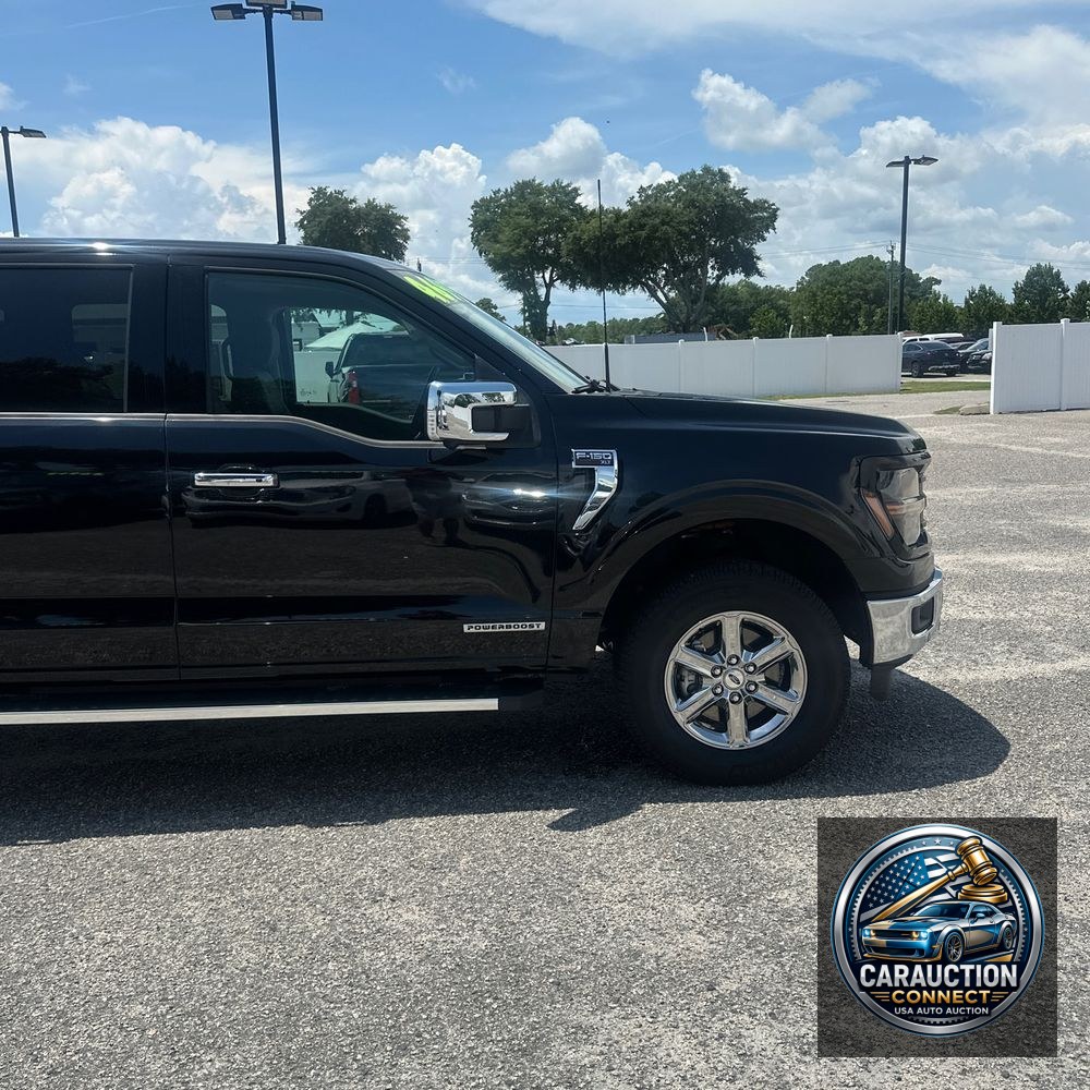 2024 Ford F-150 XLT