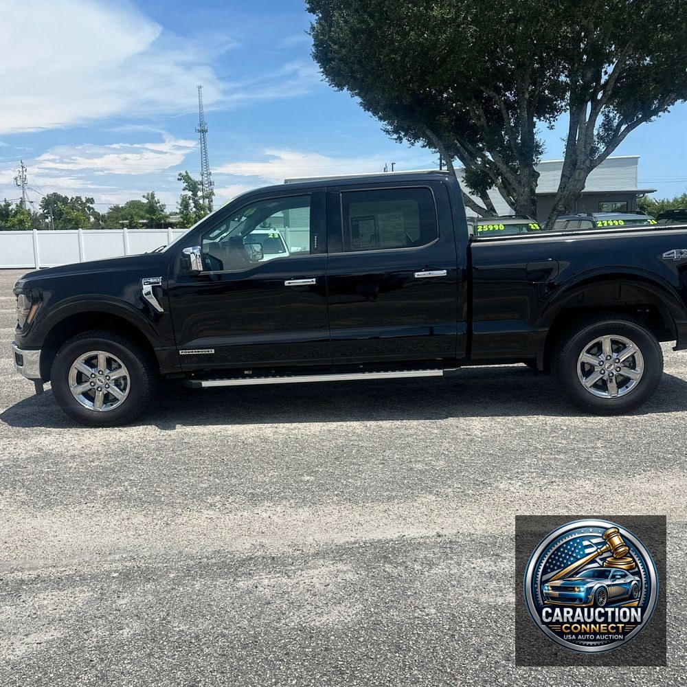2024 Ford F-150 XLT