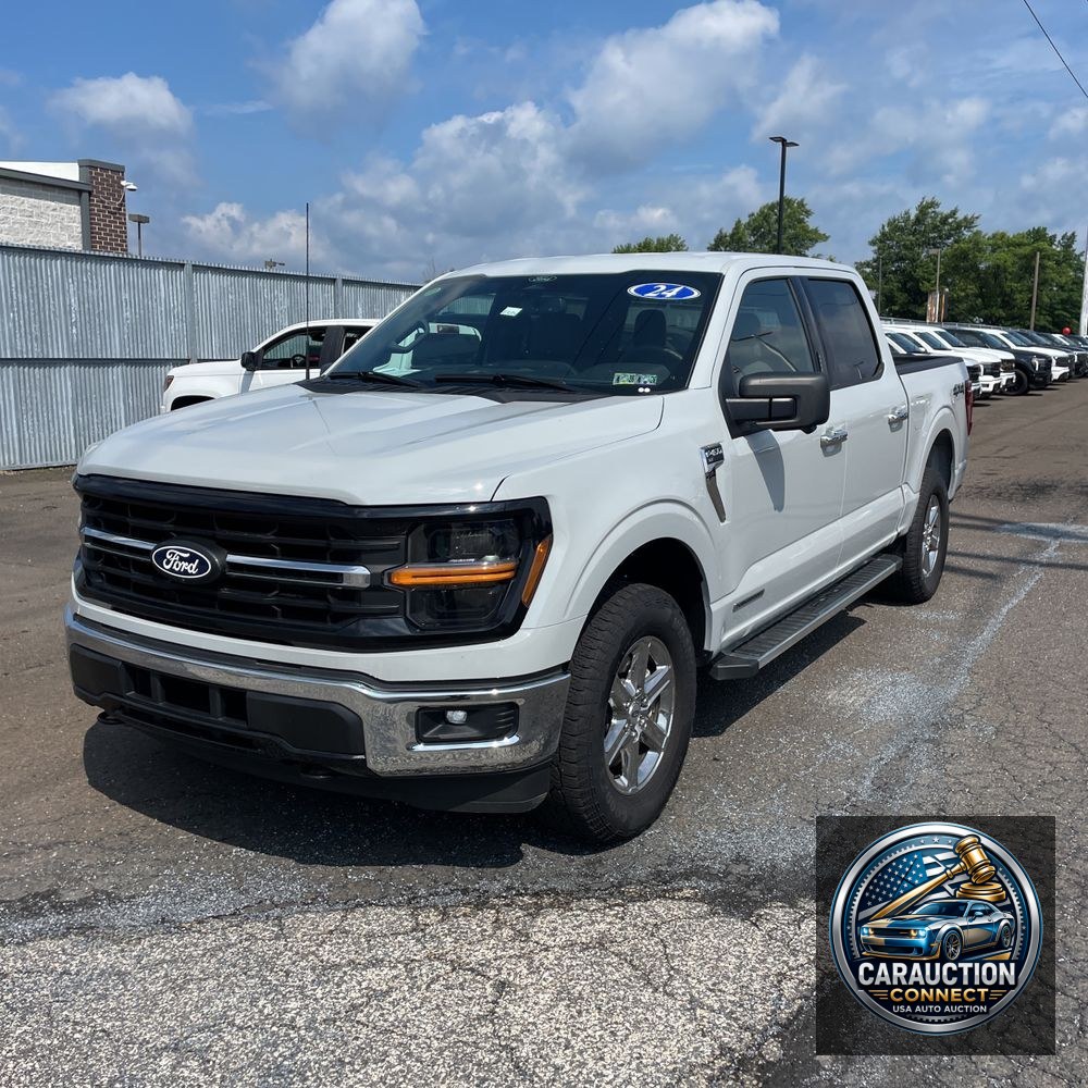 2024 Ford F-150 XLT