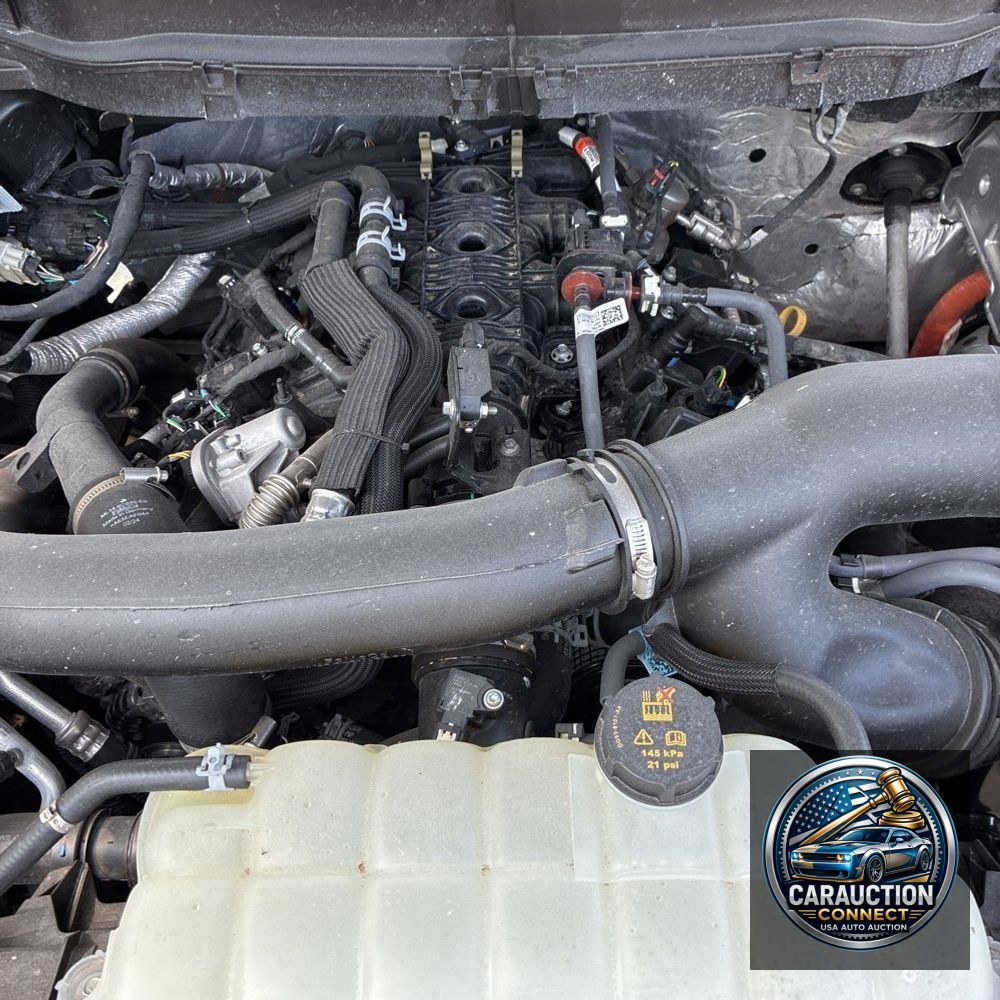 2024 Ford F150 Tremor