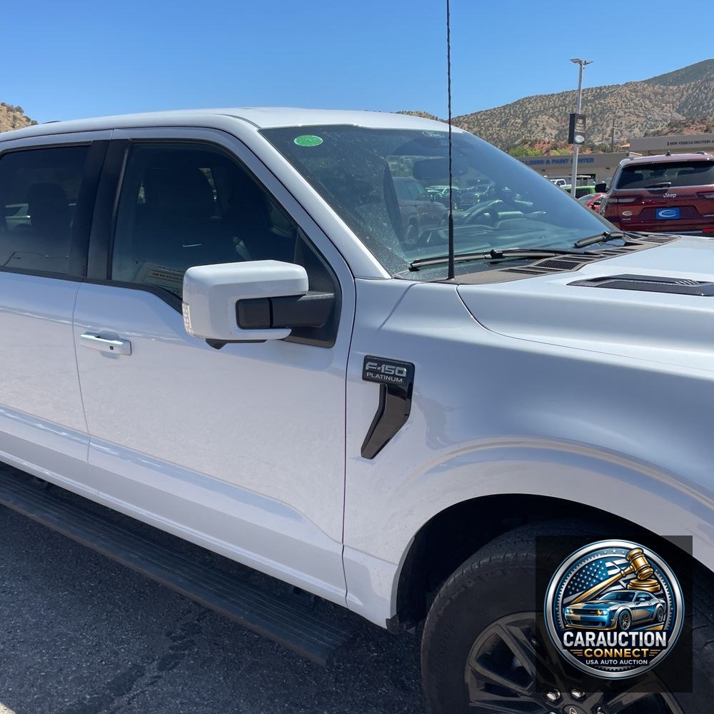 2025 Ford F-150 Platinum
