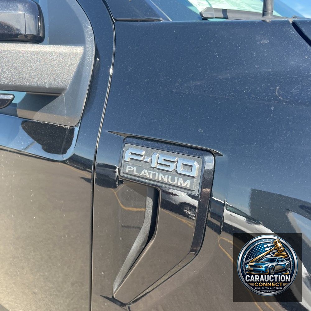 2024 Ford F-150 Platinum