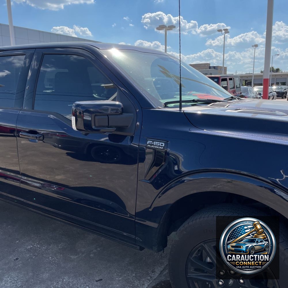 2024 Ford F-150 Platinum