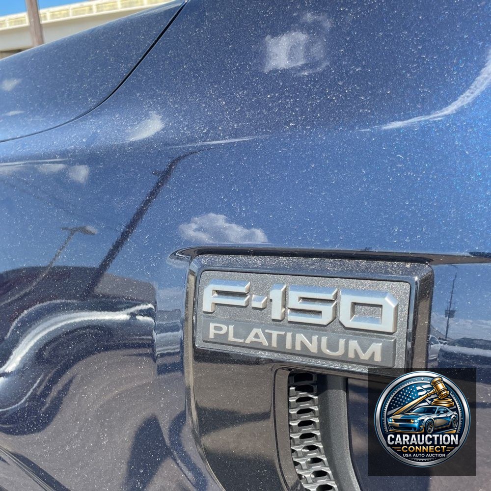 2024 Ford F-150 Platinum