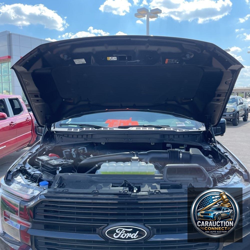 2024 Ford F-150 Platinum