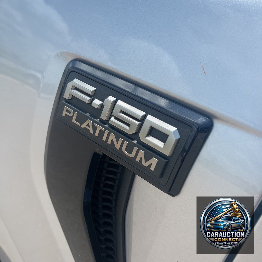 2024 Ford F-150 Platinum