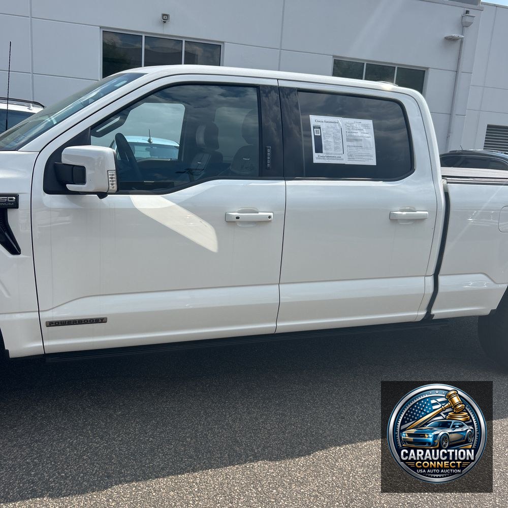 2024 Ford F-150 Platinum