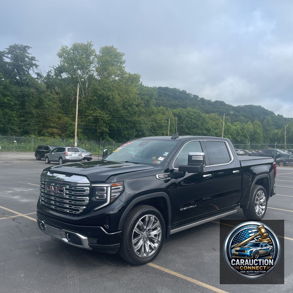 2024 GMC Sierra 1500 Denali