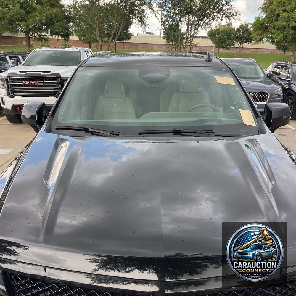 2024 Cadillac Escalade Sport Platinum