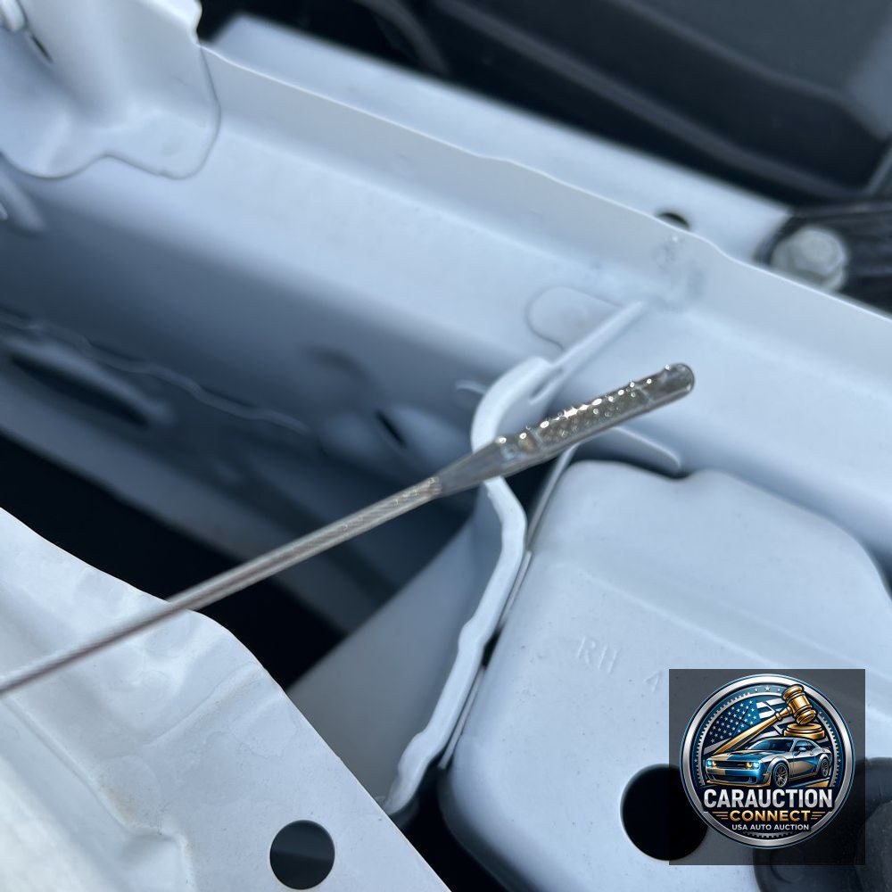 2024 Cadillac Escalade ESV Premium Luxury
