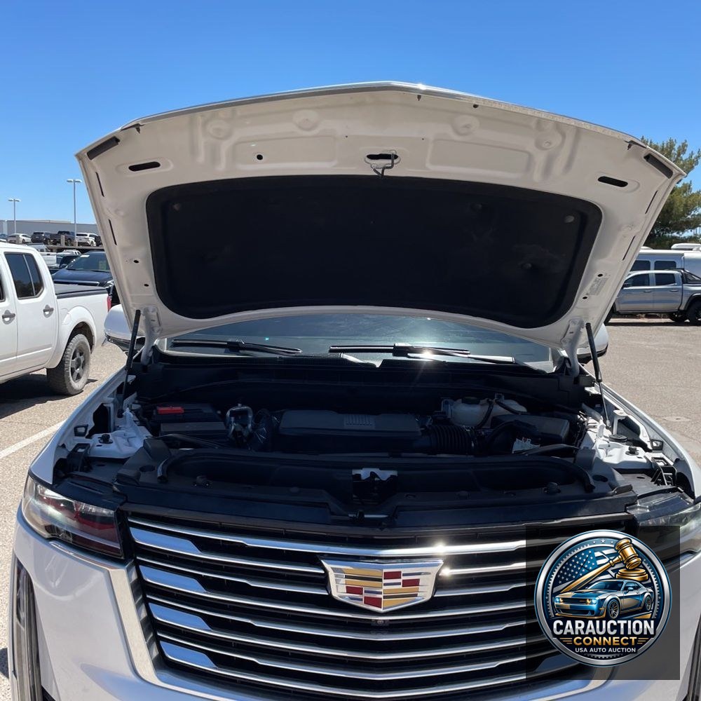 2024 Cadillac Escalade Premium Luxury Platinum
