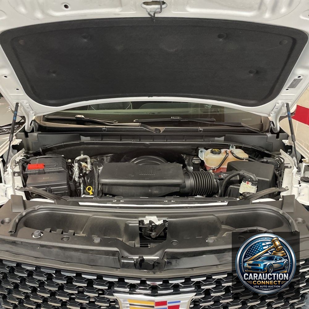 2024 Cadillac Escalade ESV Premium Luxury
