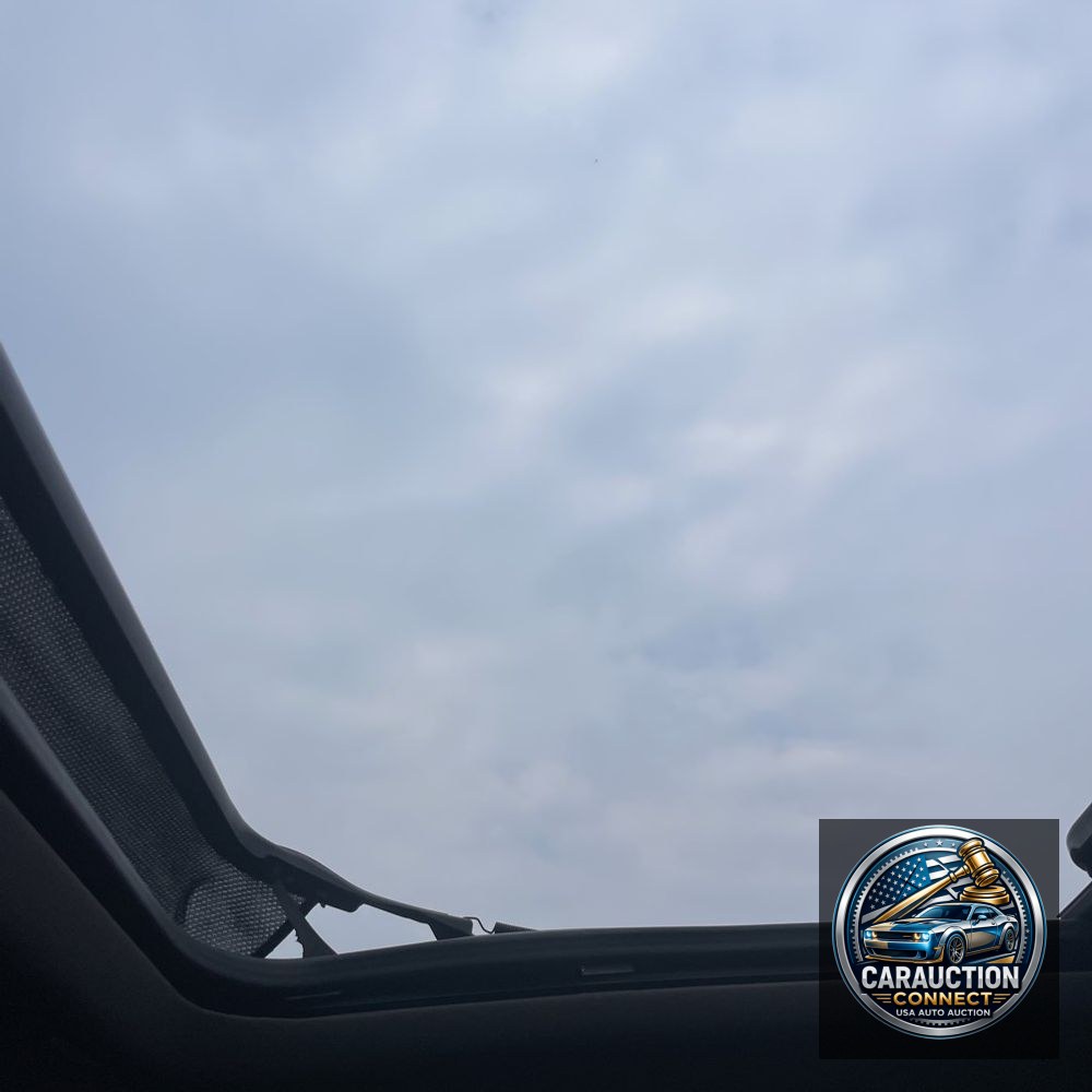 2022 Cadillac Escalade ESV Premium Luxury