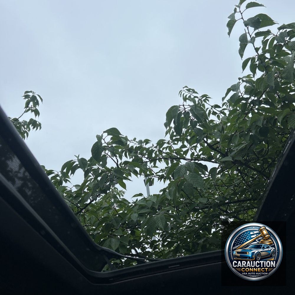 2022 Cadillac Escalade ESV Premium Luxury