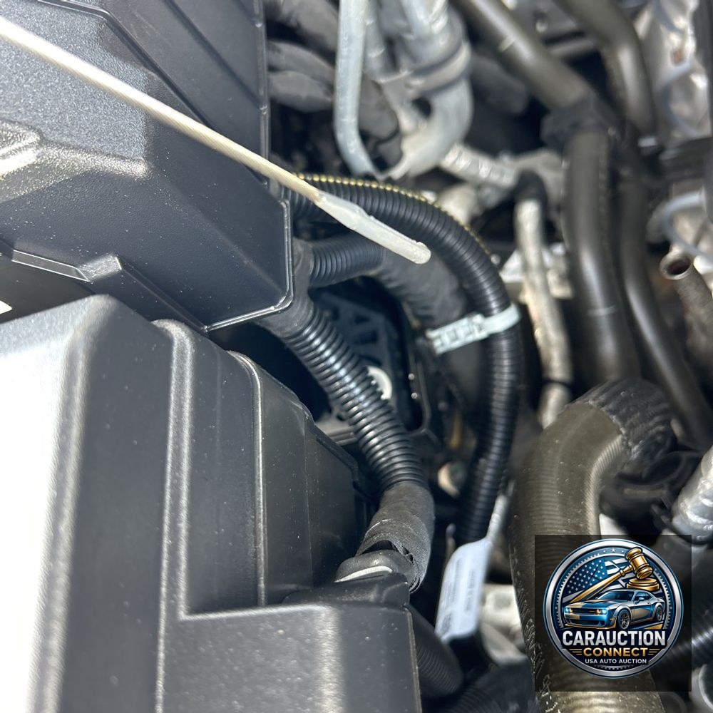 2023 Cadillac Escalade ESV Premium Luxury Platinum