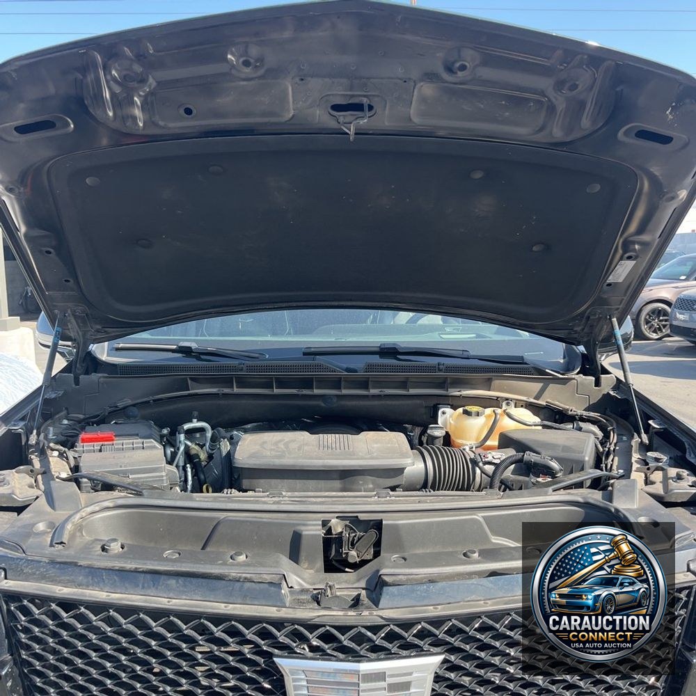 2022 Cadillac Escalade ESV Sport