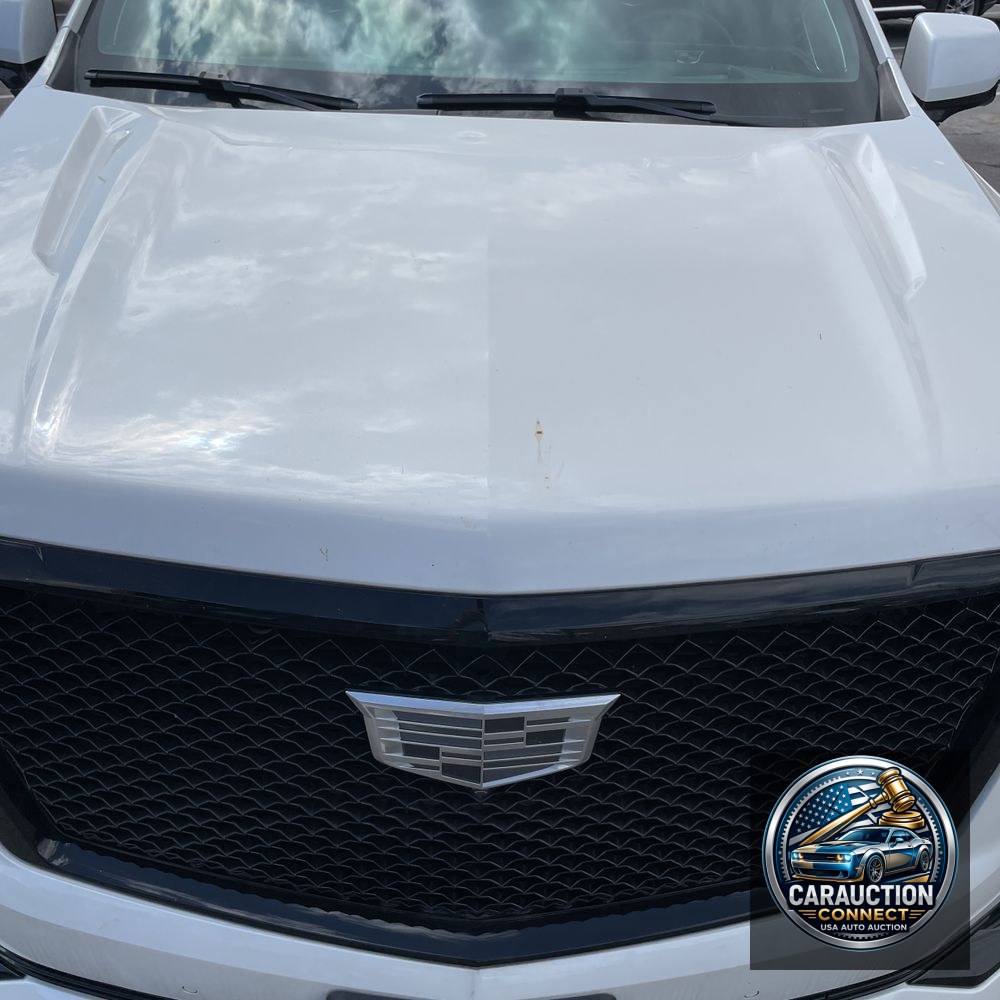 2021 Cadillac Escalade ESV Sport Platinum
