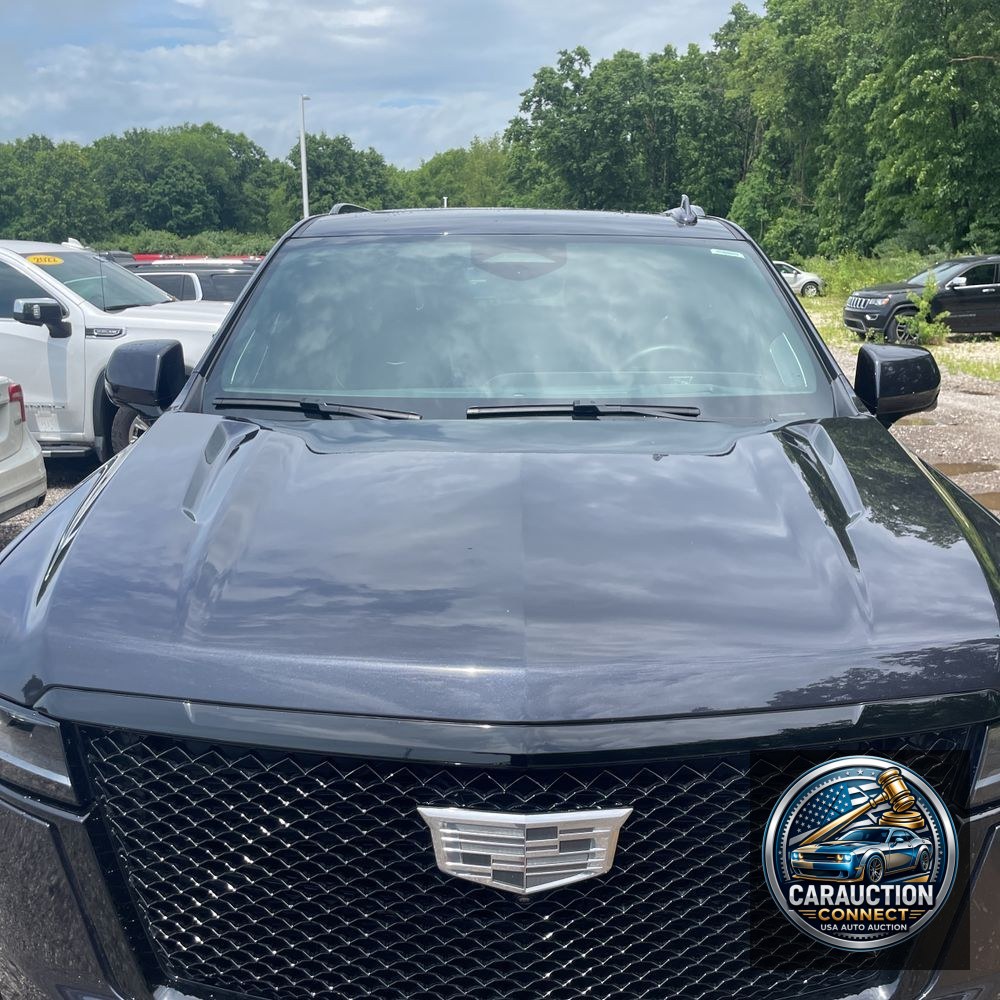 2024 Cadillac Escalade ESV Sport Platinum