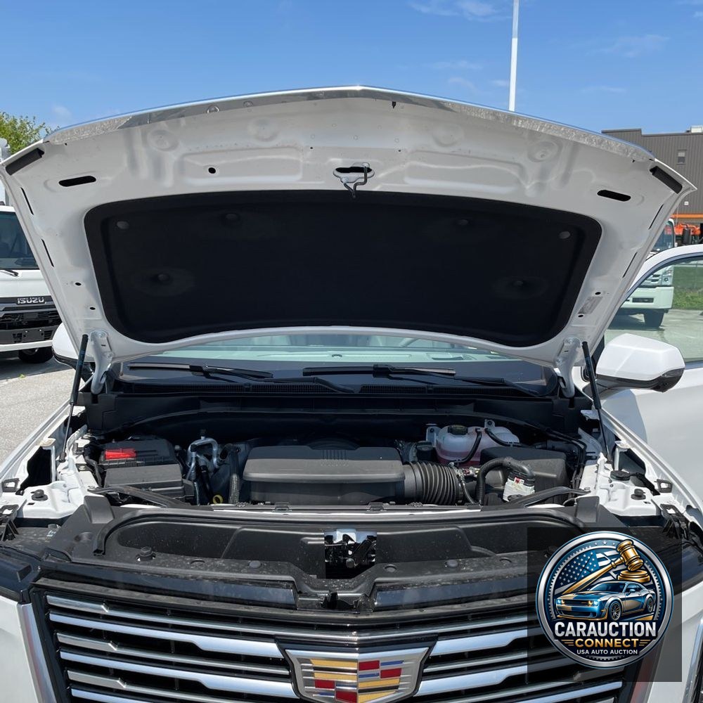 2025 Cadillac Escalade Premium Luxury Platinum